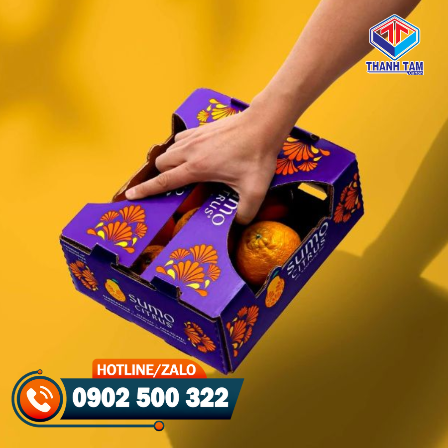 hộp giấy carton