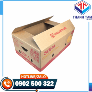 thùng giấy carton đựng trái cây