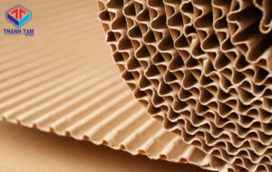 Các loại thùng giấy & lịch sử sản xuất thùng giấy carton ra sao?