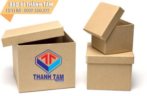 Lựa chọn thùng giấy carton và hộp giấy phù hợp với khách hàng