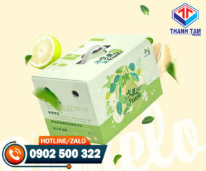 Thùng carton in offset