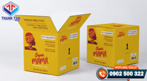 thung carton 5 lop la gi