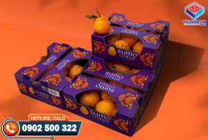 thung carton in offset