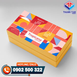 Hộp Carton Đựng Giày Dép Nam Nữ Độc Đáo, Đẳng Cấp nhất 2023