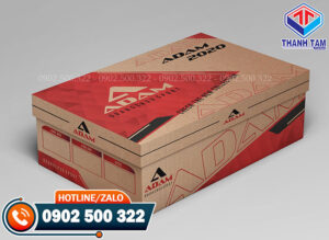 Hộp Carton Đựng Giày Dép Nam Nữ Độc Đáo, Đẳng Cấp nhất 2023
