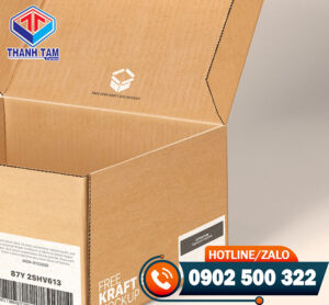 Thùng carton 3 lớp sóng E