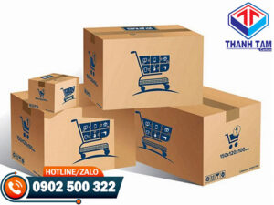 Thùng carton đi máy bay tiêu chuẩn