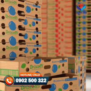 Thùng carton đựng trái cây