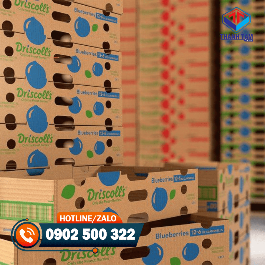 Thùng carton đựng trái cây