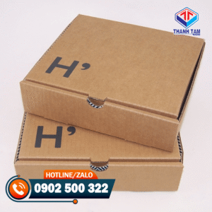 hộp carton nắp gập