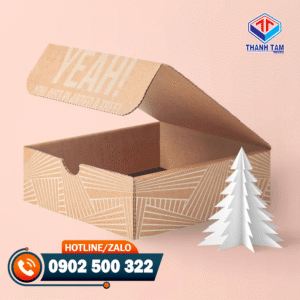 hộp giấy carton giá sỉ