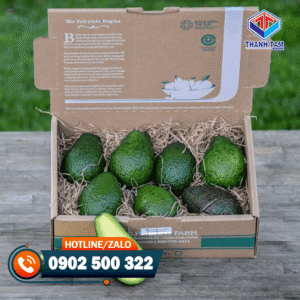 thùng carton đựng bơ