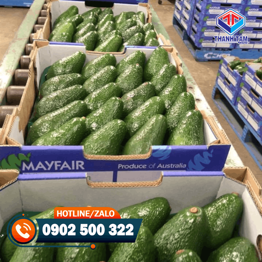 thùng carton đựng bơ