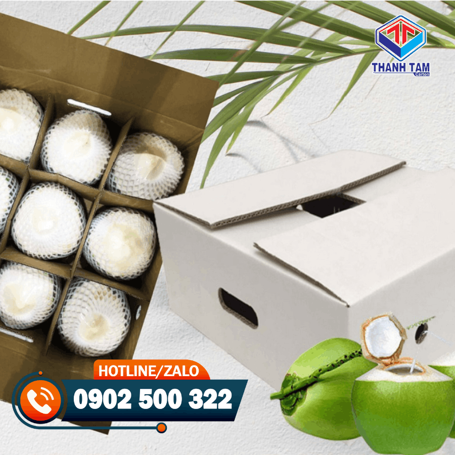 thùng carton đựng dừa