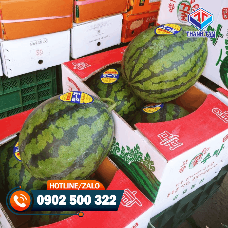 thùng carton đựng dưa hấu 
