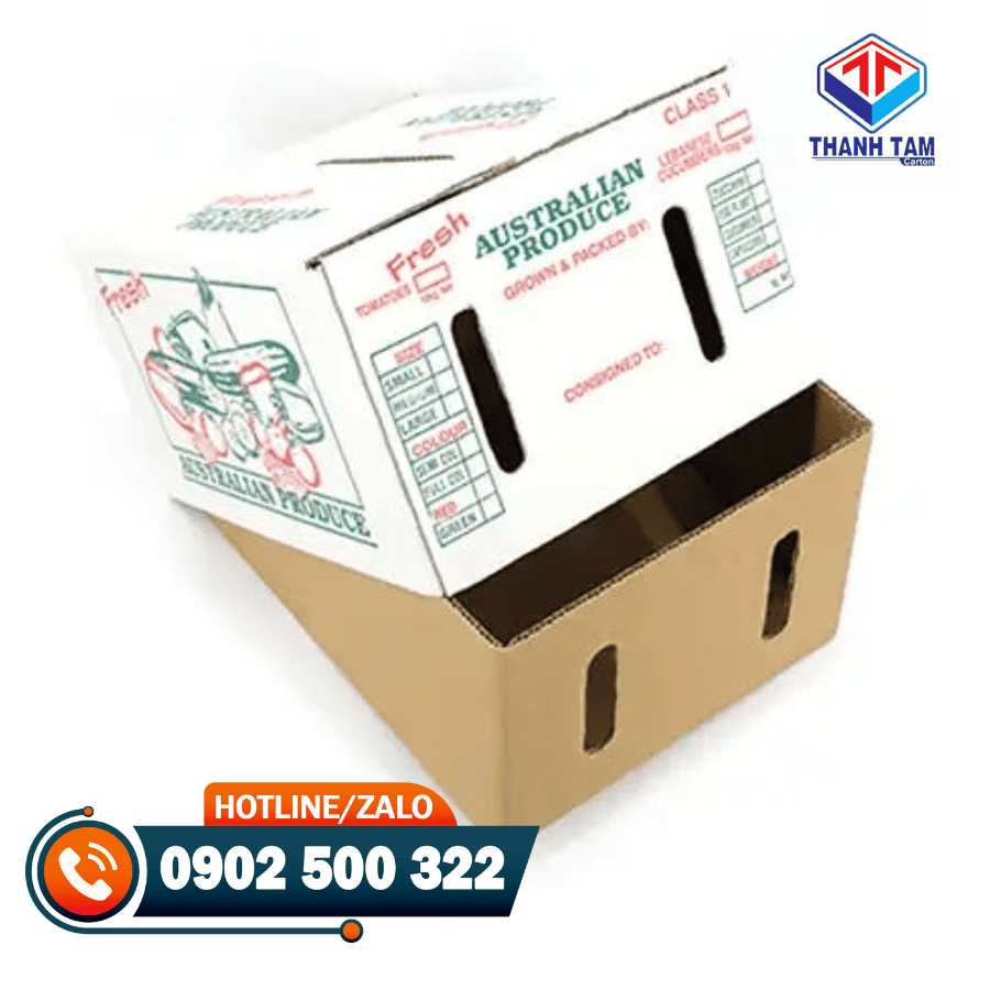 thùng carton đựng mít