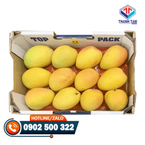 thùng carton đựng xoài