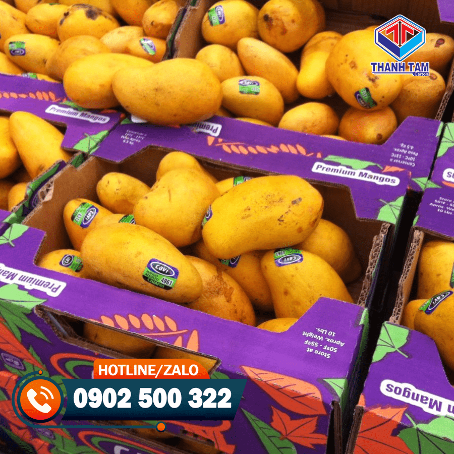 thùng carton đựng xoài