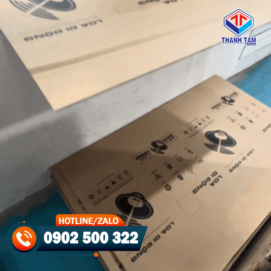 thùng giấy đựng loa khổ lớn