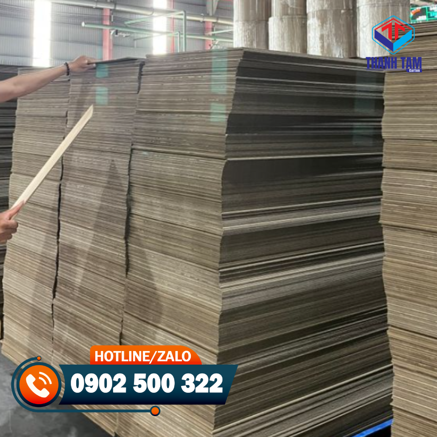 bìa carton khổ lớn