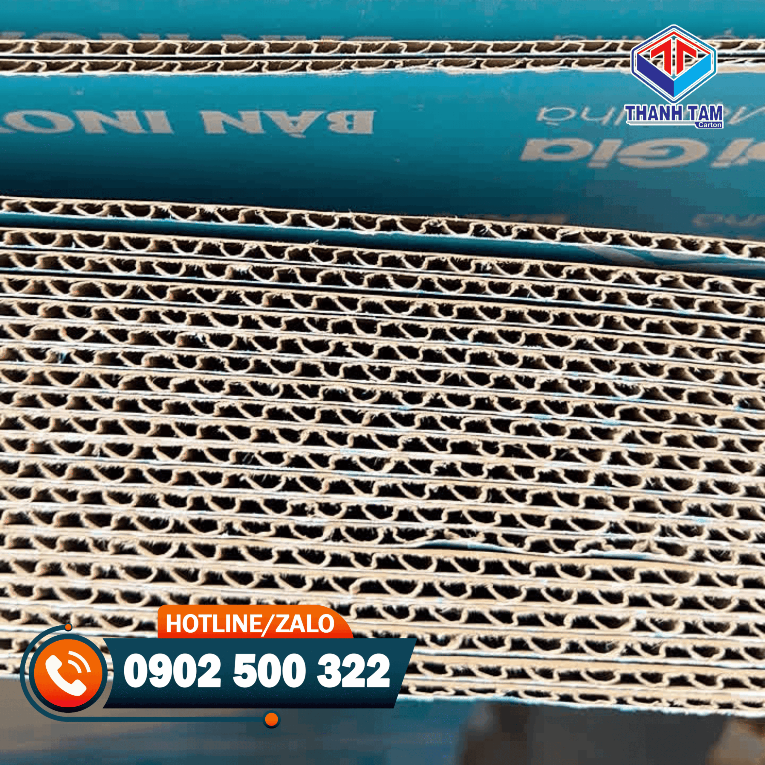bìa carton 3 lớp in flexo